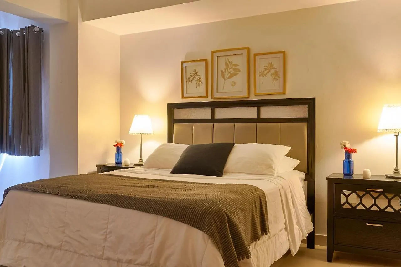 Apartamento En Zona Privilegiada De Santo Domingo Rd